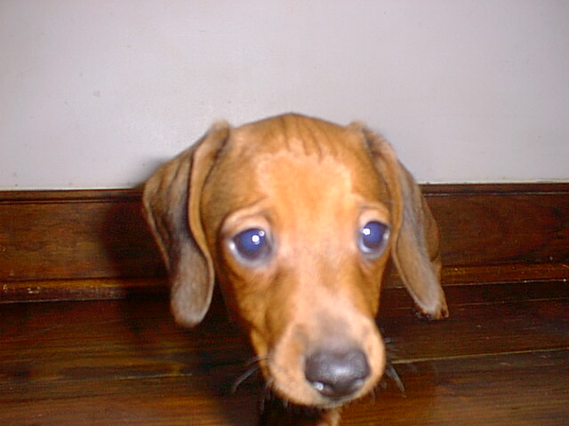Cody.Zeus's son